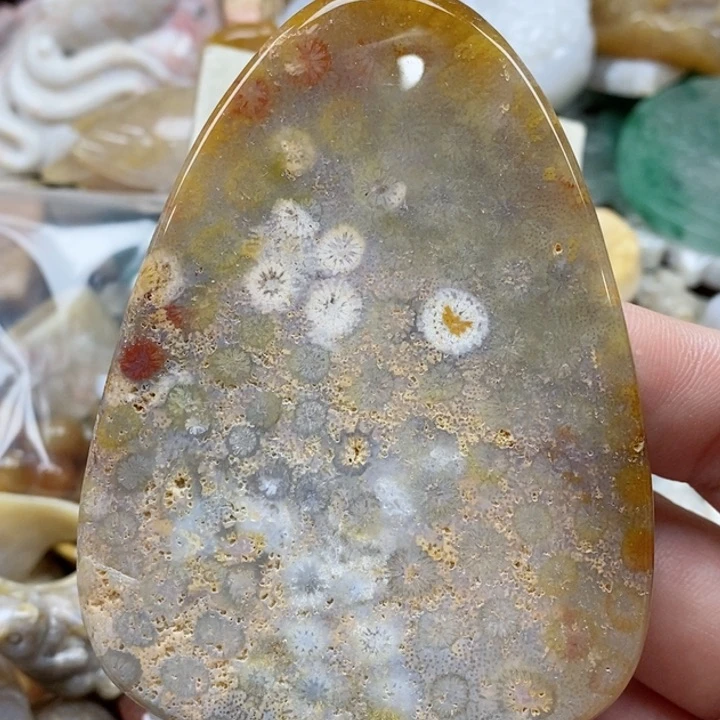 硅化珊瑚（珊瑚玉）未镶嵌颈饰