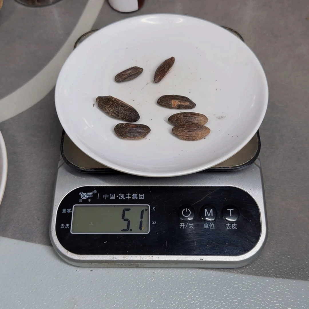 木 瓜 子 虫 漏 香 5克 花香