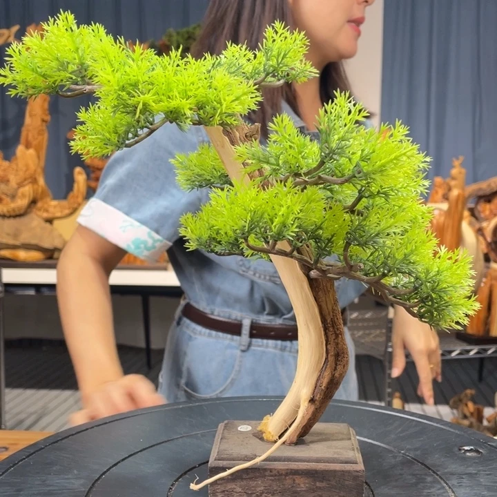 柏木（崖柏）迎客松