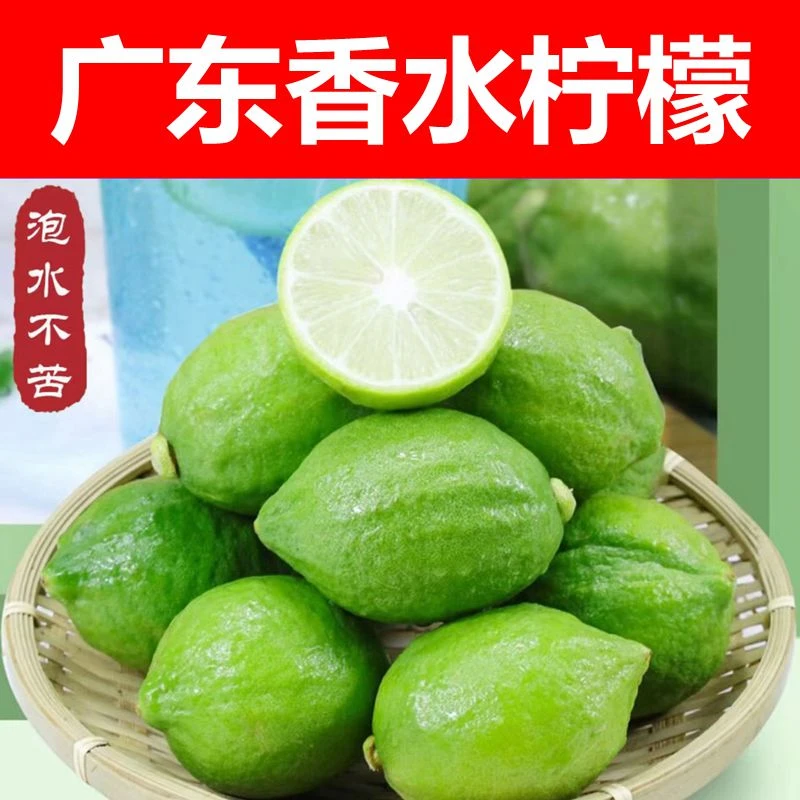 广东香水柠檬大件55斤/奶茶店柠檬茶摆摊专用香味浓郁新鲜现摘