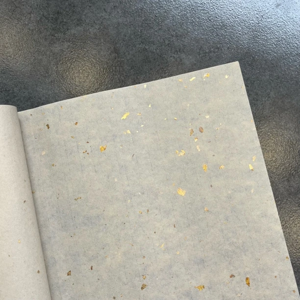 恒星直播专享24(手作洒金宣)
