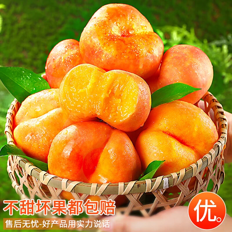 [全网热销]孕妇水果蒙阴彩虹油蟠桃