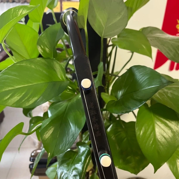 非洲老红木中高端考级表演专业演奏级二胡沉贵宝