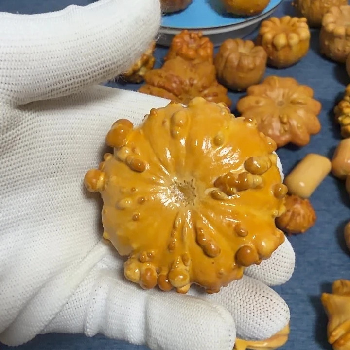 冰***雪墨西哥七彩疙瘩葫芦