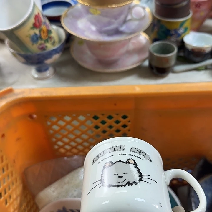 碟开播啦…开播啦