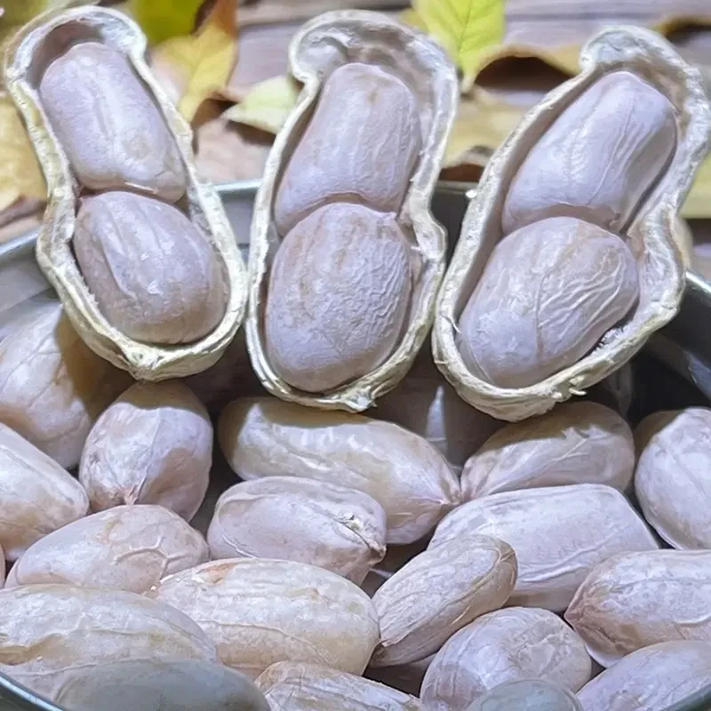 新货5斤【水煮白晒花生】龙岩花生盐水花生咸干花生带壳1斤熟花生