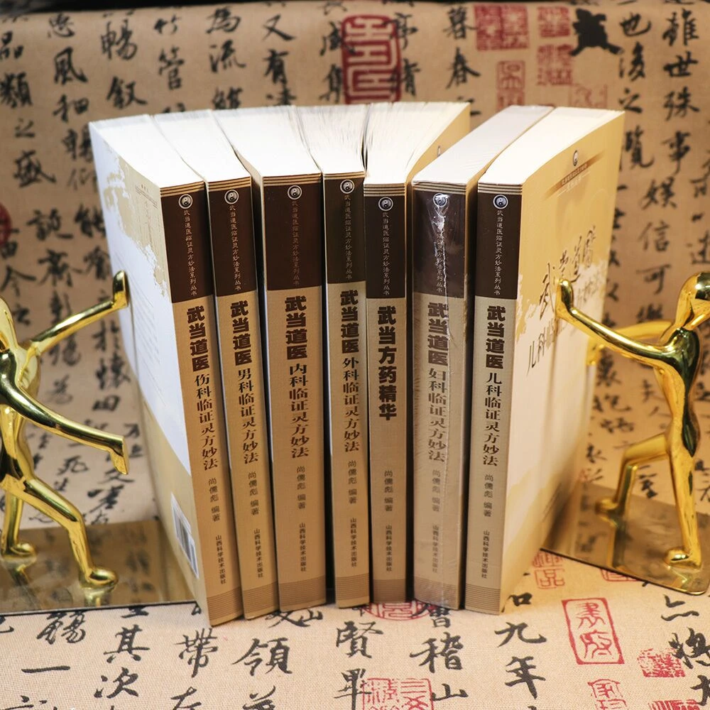 武当道医儿科+妇科+内科+男科+伤科+外科临证灵方妙法等