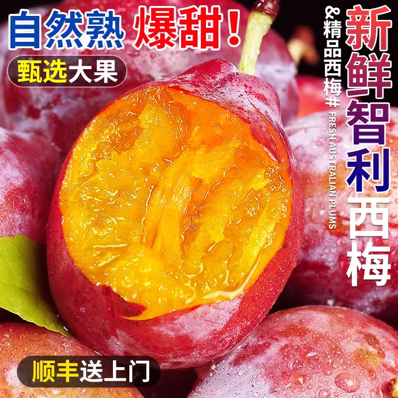 【顺丰现货】新疆西梅李子新鲜水果当季1-5斤新疆法兰西西梅包邮