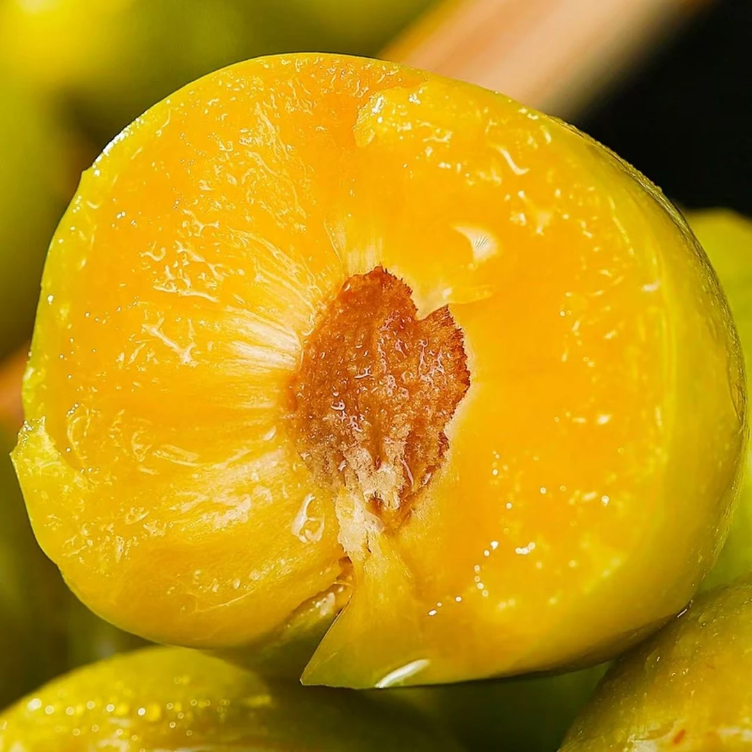 【原产地顺丰空运直发】正宗贵州镇宁六马蜂糖李脱骨李子新鲜蜂蜜李