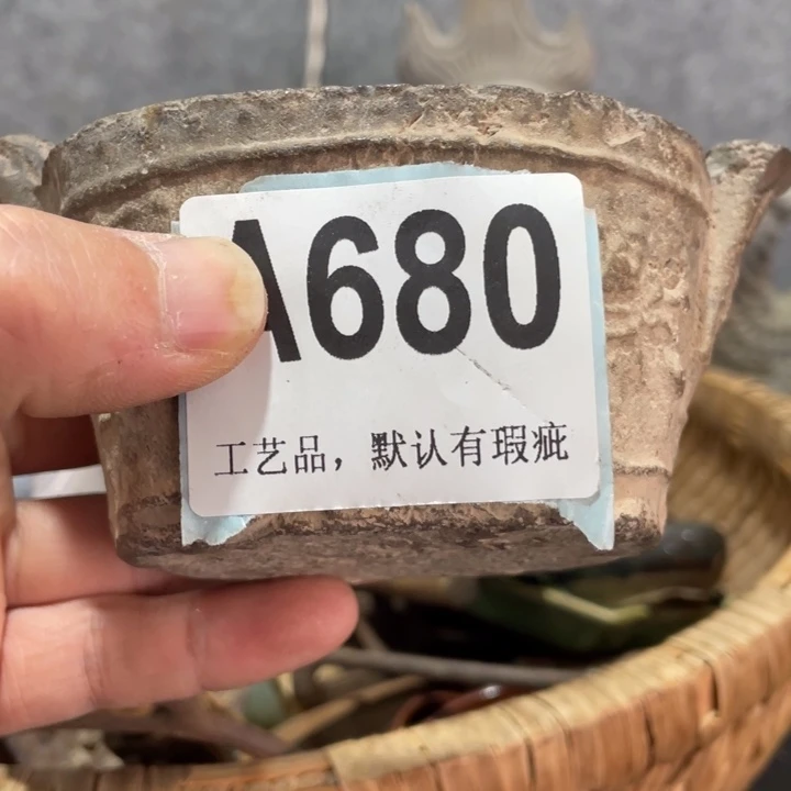 我***玉陶知道啦知道啦知道