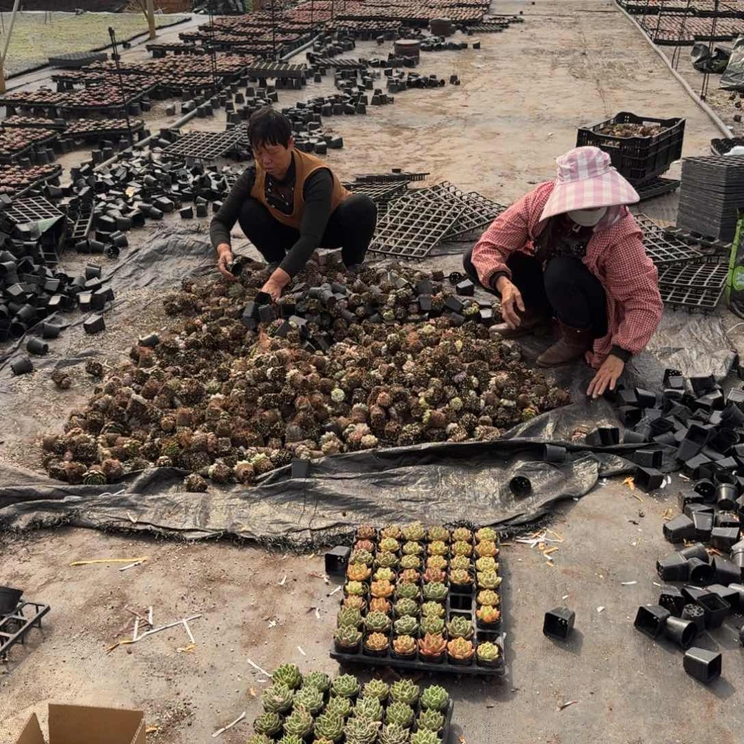 保底三十克发货量拍五号箱子