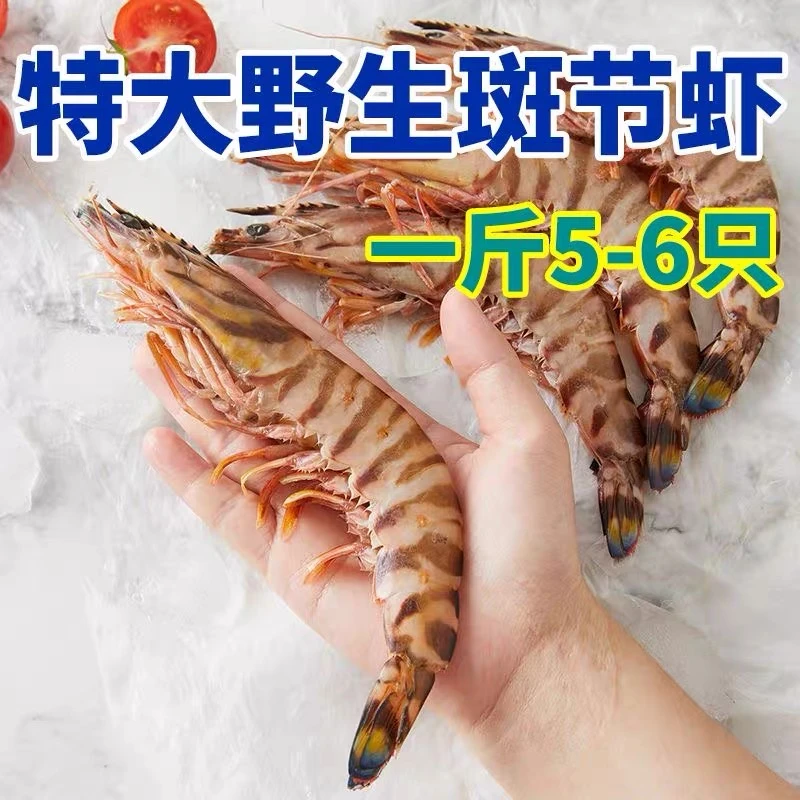 5-6条一斤/只18-19厘米 海捕野生斑节虾竹节虾 顺丰鲜活速冻发