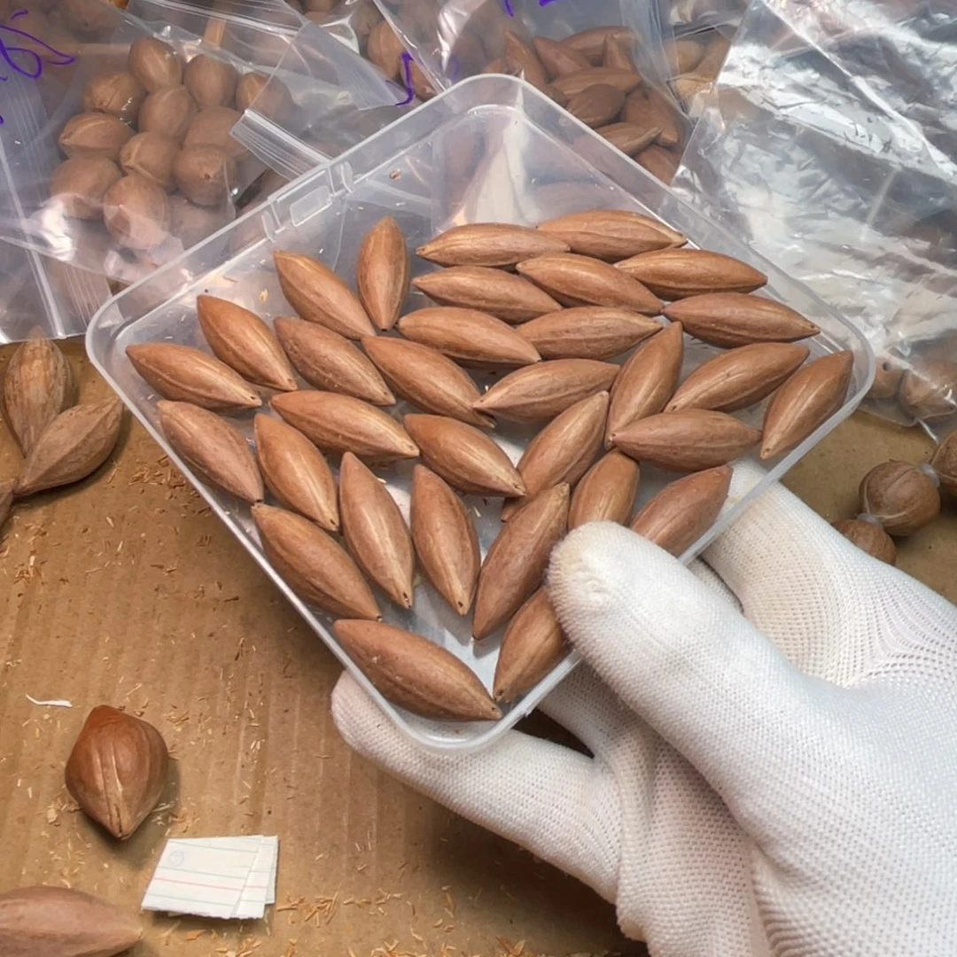 纯***天橄榄核手串/手链1