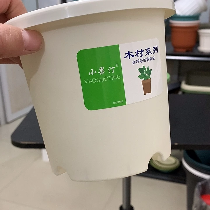 小果汀15口白10个无托