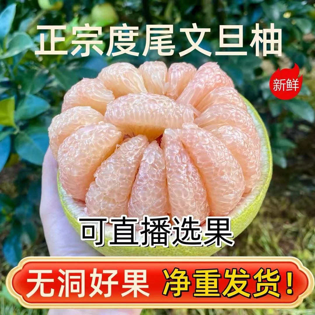 度尾文旦柚红心柚仙游30年老树红心蜜柚现摘当季孕妇水果柚子10斤