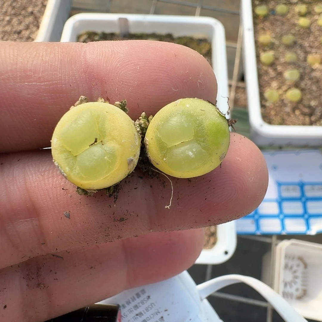 2-19-011一一一一一一