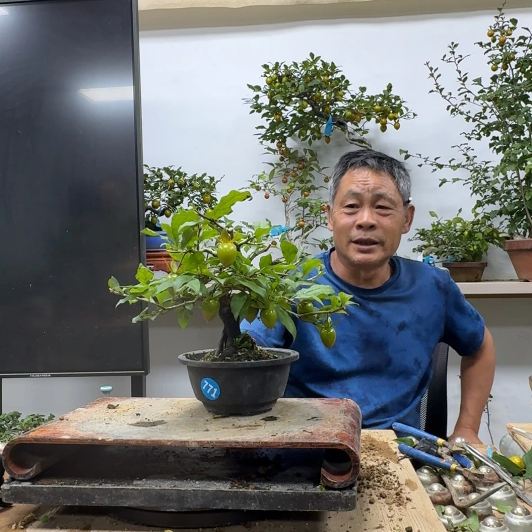 用***6无花朵771顺丰到付不包邮