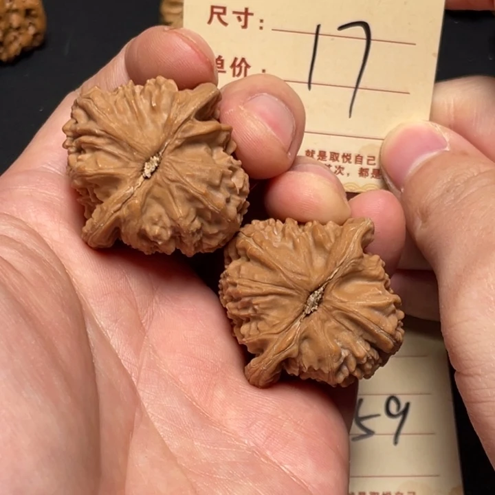 把件文玩核桃白狮子37尺全品白茬17