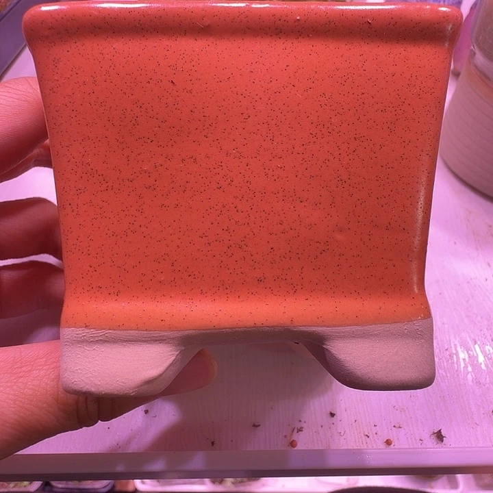 盆25，橘色方盆，多肉盆闲置处理福利出！