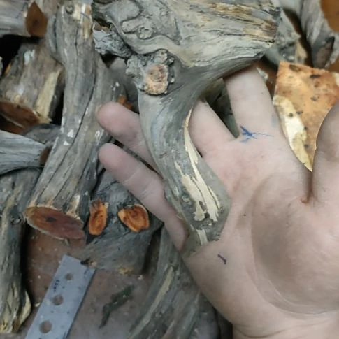 山***司大果紫檀（缅甸花梨）