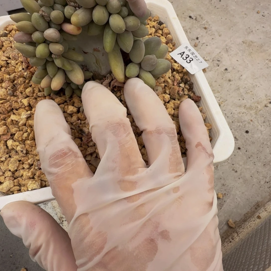 a a a a a a a a 33