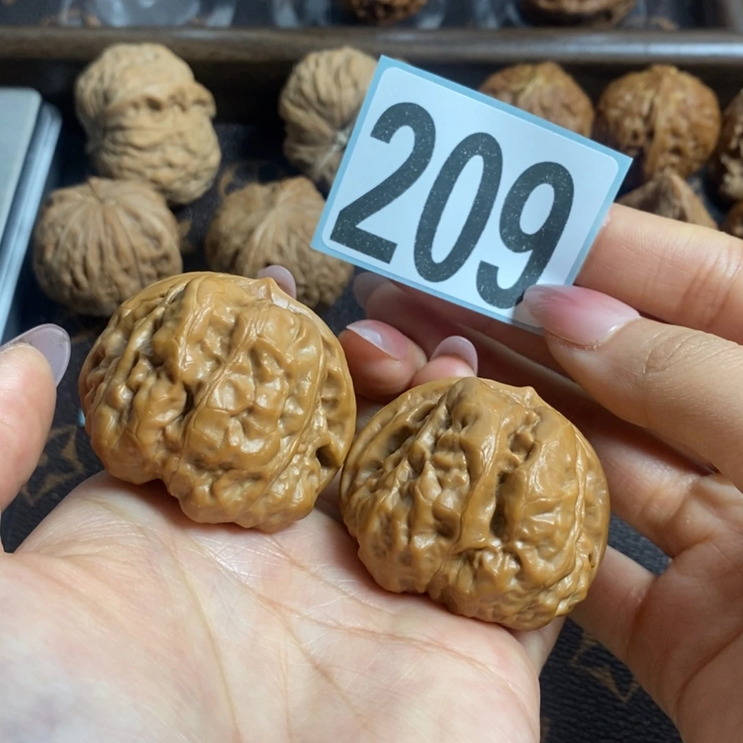 核桃209蛤蟆头41尺寸有修打底
