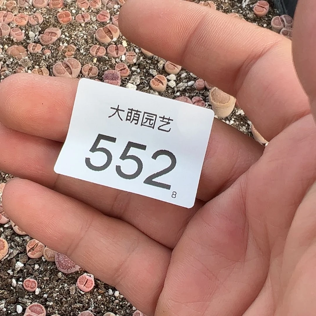 0000552 清框脱土发无售后