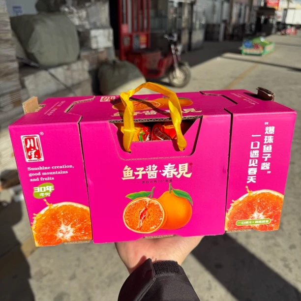 【四季优选】春见 耙耙柑 一箱 毛重四斤半(顺丰包邮,明天准到)天津市