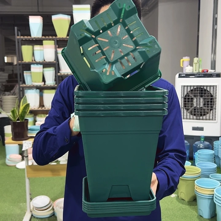 正品方盆口20高22墨绿5只带托