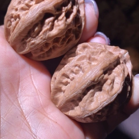 文玩核桃把件东北野生楸子小美111