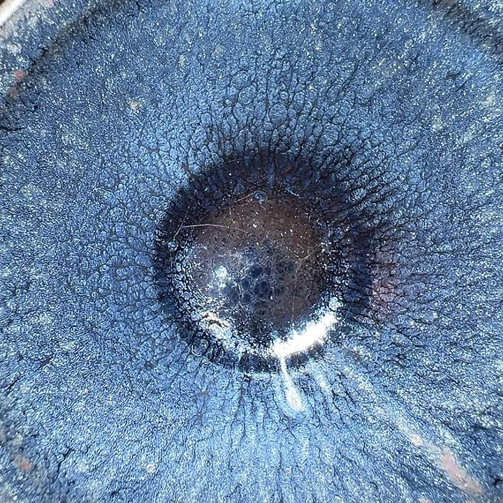 茶盏建窑建盏茶器431