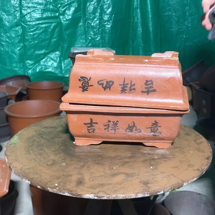 26/26红马槽哈哈哈哈哈哈哈