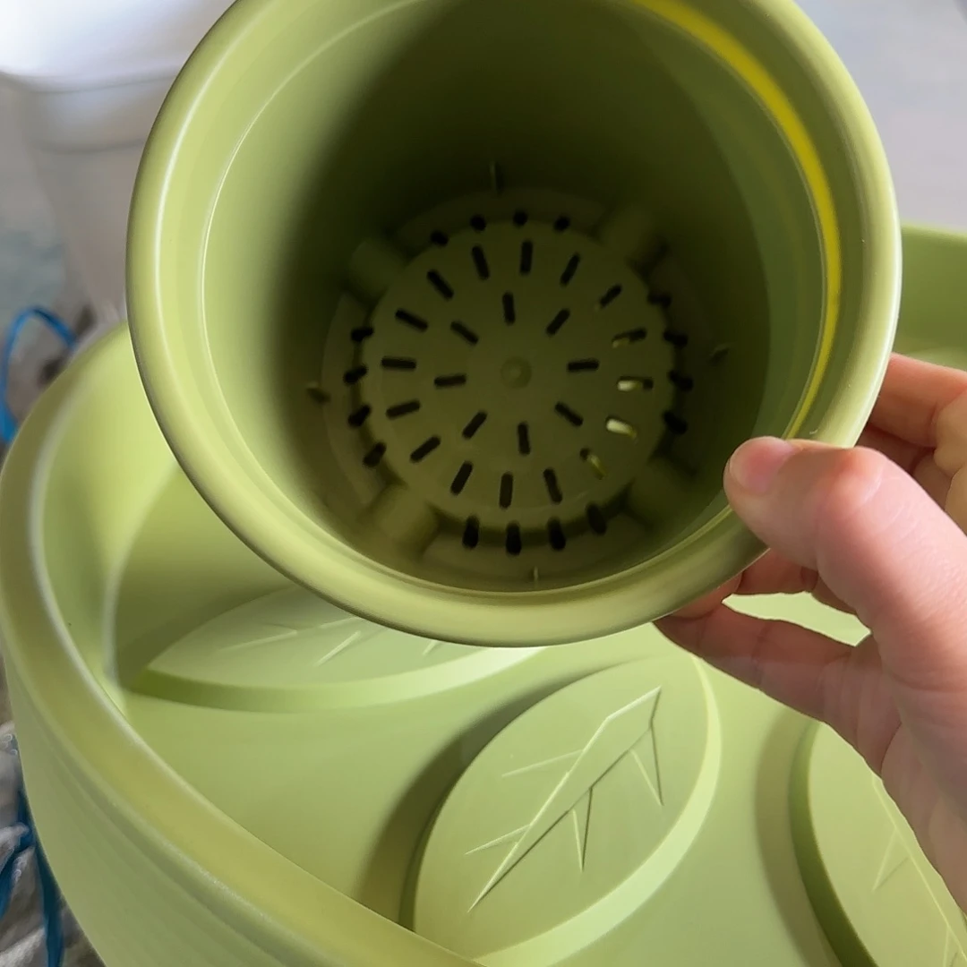 树脂1号无托10个果绿