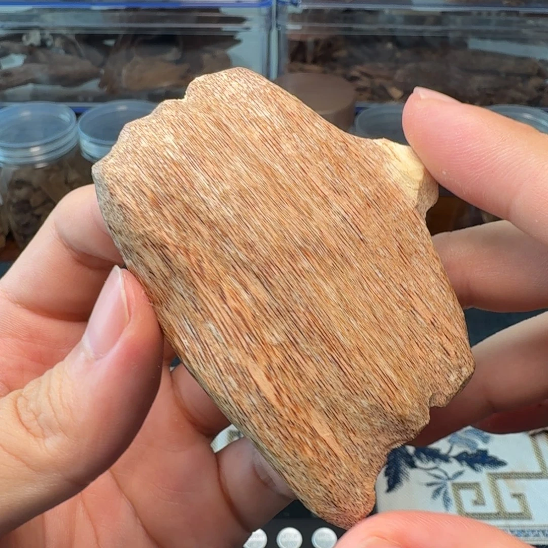 沉香广西博白大瓜子