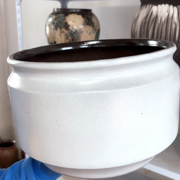 正品高21口30一个