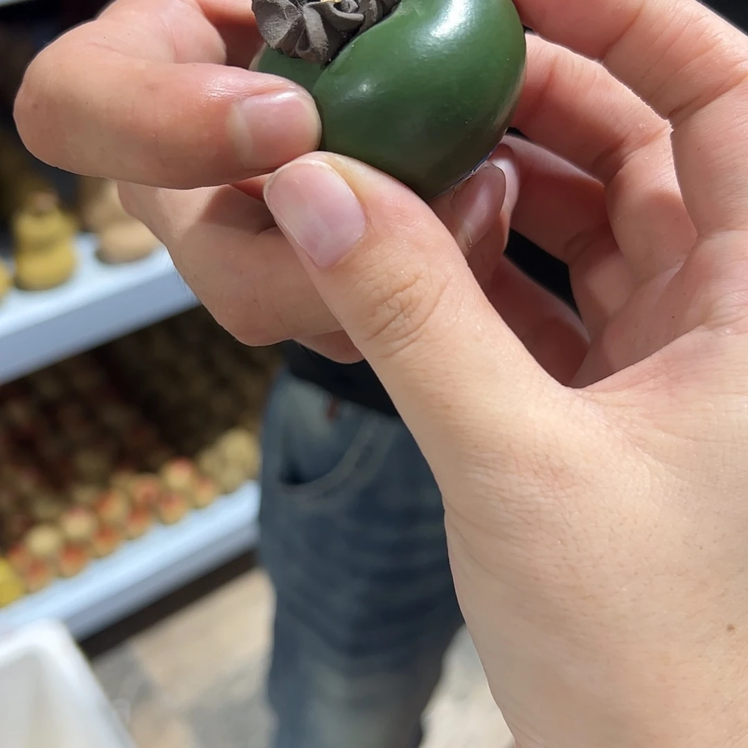 紫砂公道杯122112222211121