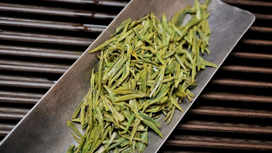 头採黄金芽溧阳天目湖精选