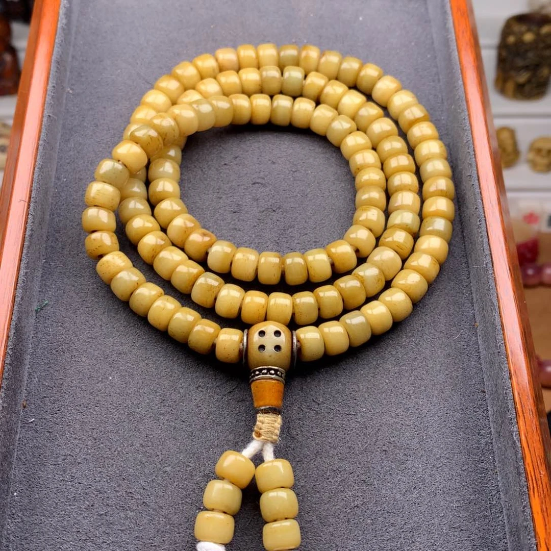 驼骨其他天天都在盘  8