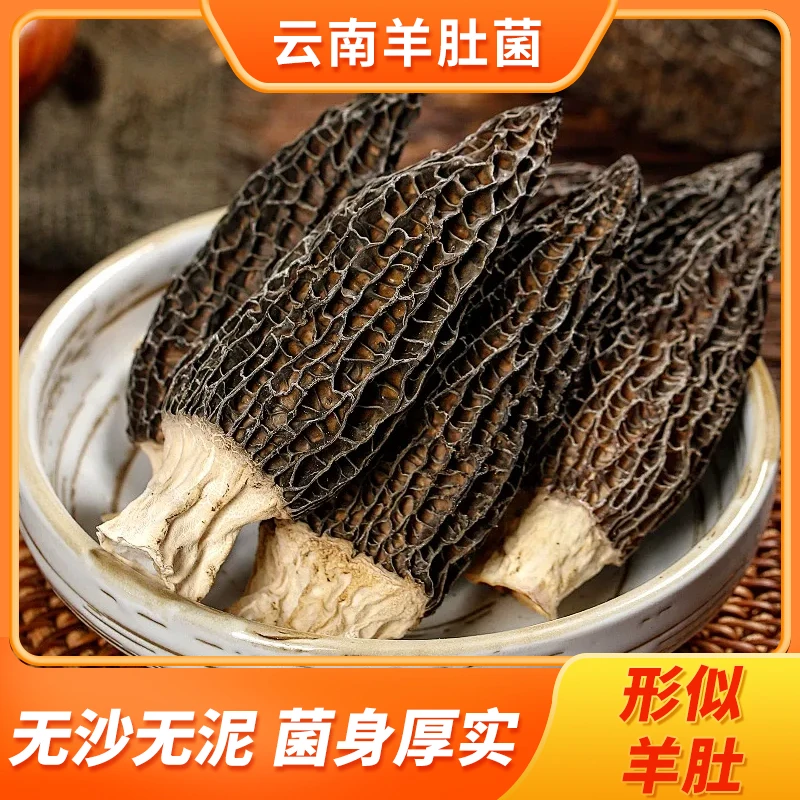 精选云南羊肚菌5-7厘仿野货云南特产火锅食材汤料包煲汤材料