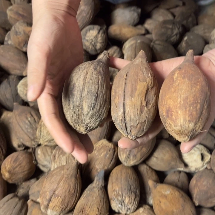 千眼菩提吊坠千眼菩提第77