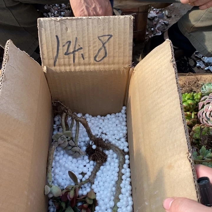 148不知道几颗版本