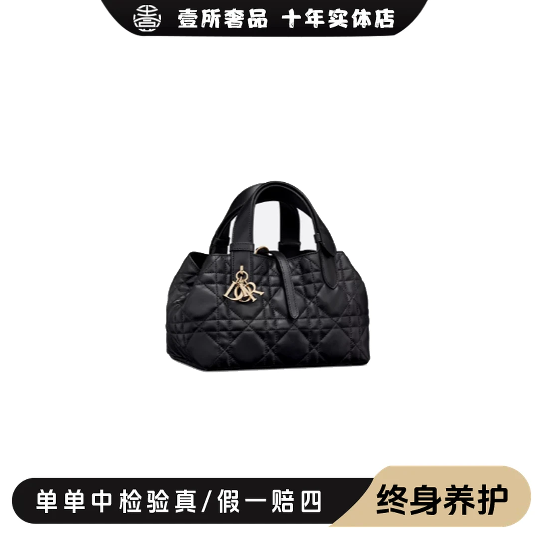 未使用 DIOR/迪奥 壹所/toujours横版土著小号 黑金 全新 斜挎包