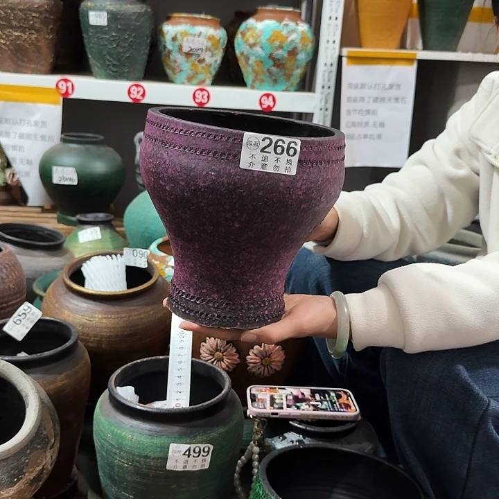 紫色鱼尾266高度20口径18