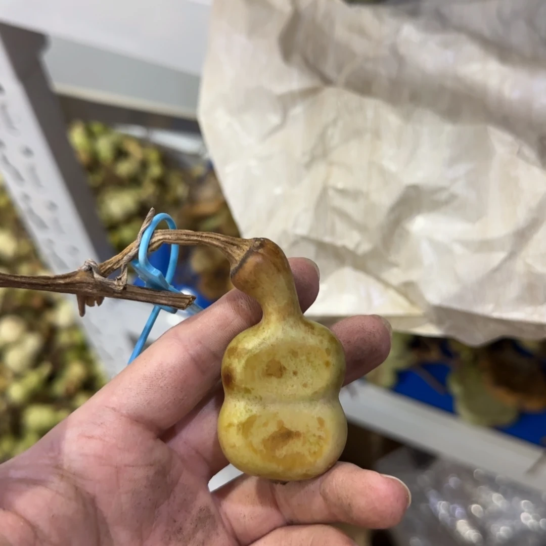 R***-青皮不包成 不退不换