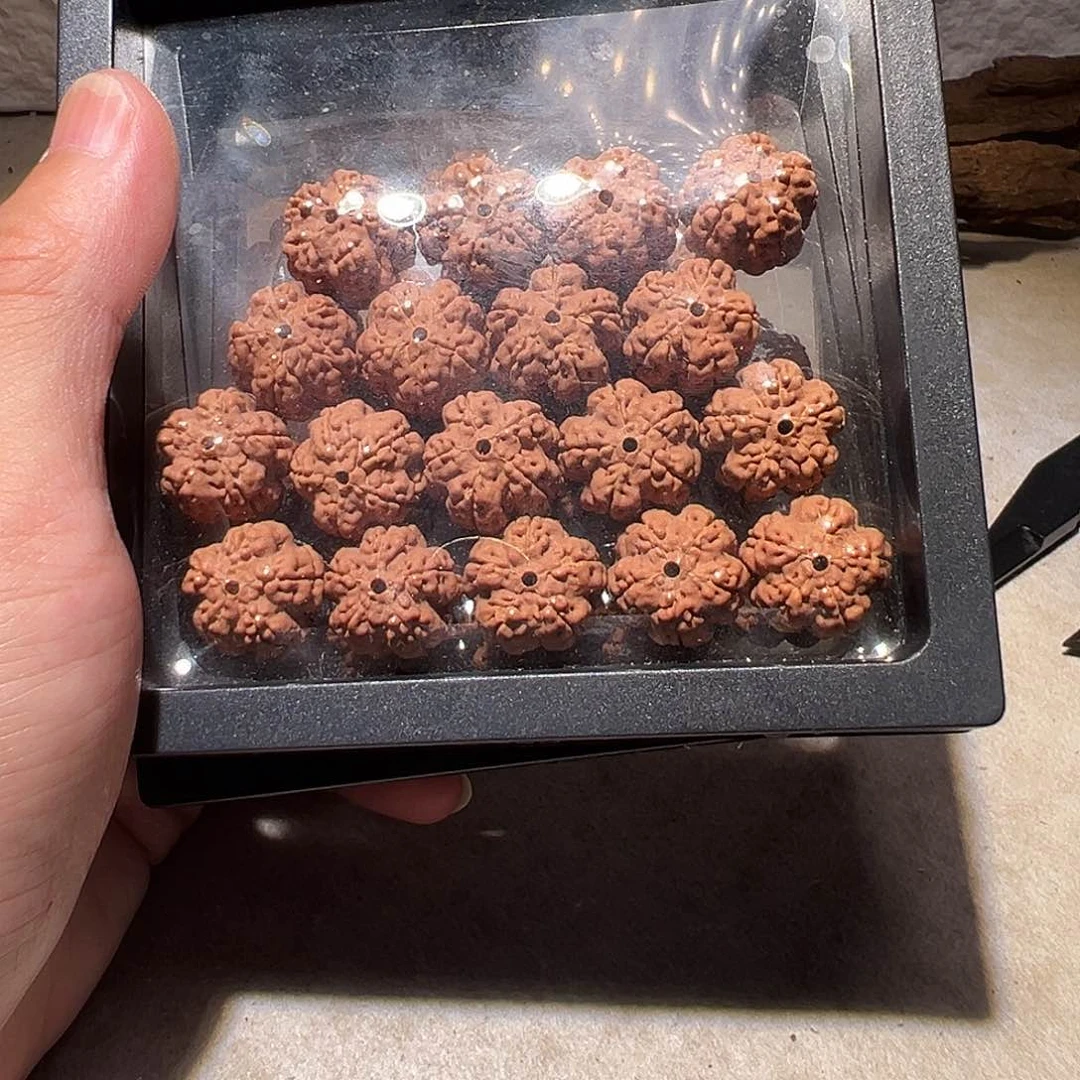 金刚菩提手串小花王16尺寸左右福利