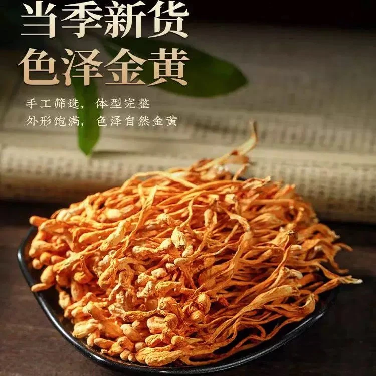 【哪吒优选】虫草花干货正宗北菇菌新货煲汤特产特级食材虫草花