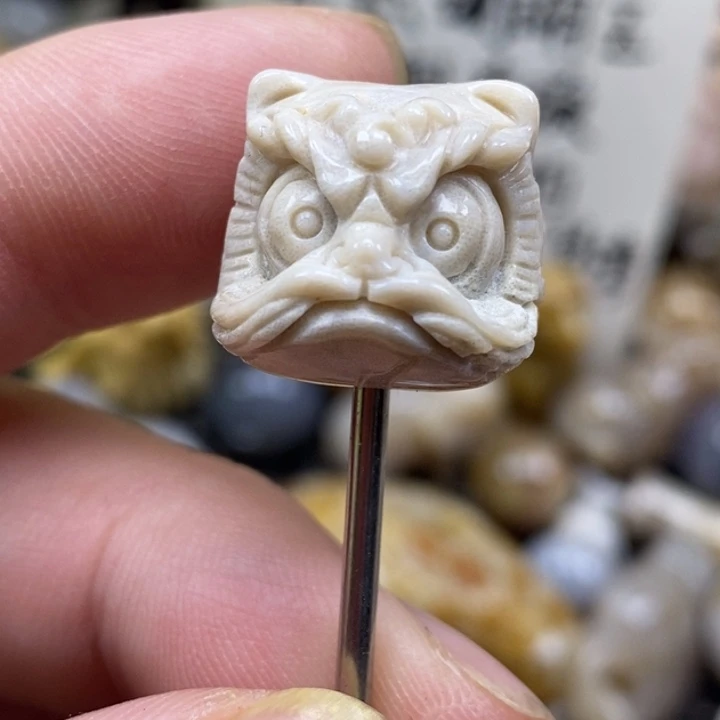 硅化珊瑚（珊瑚玉）未镶嵌颈饰