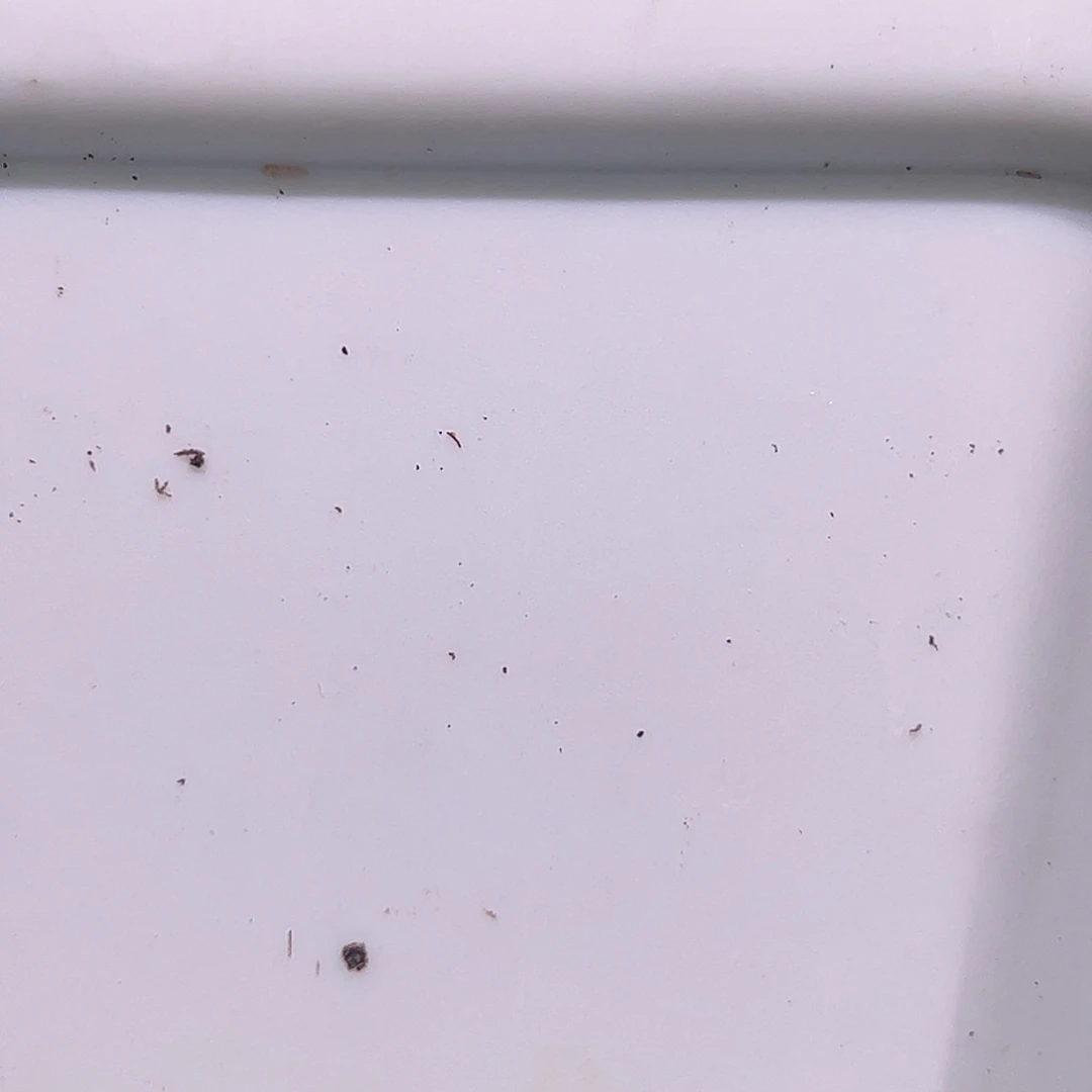 贝***1多肉植物多肉植物土