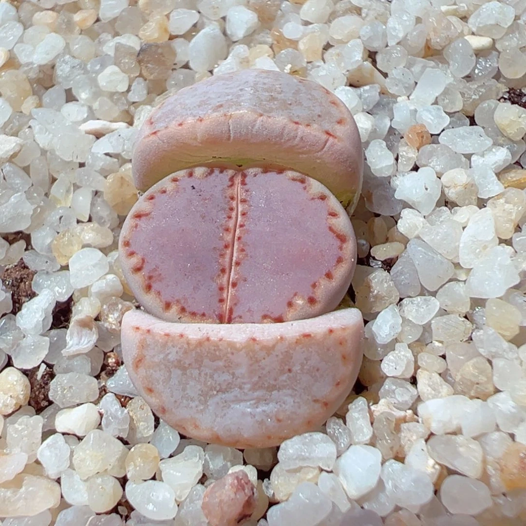 安***院206-389.我是真的不