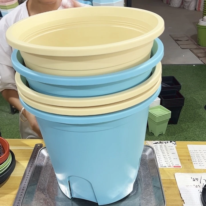 圆形控根口27.5高27.5混色5个无托